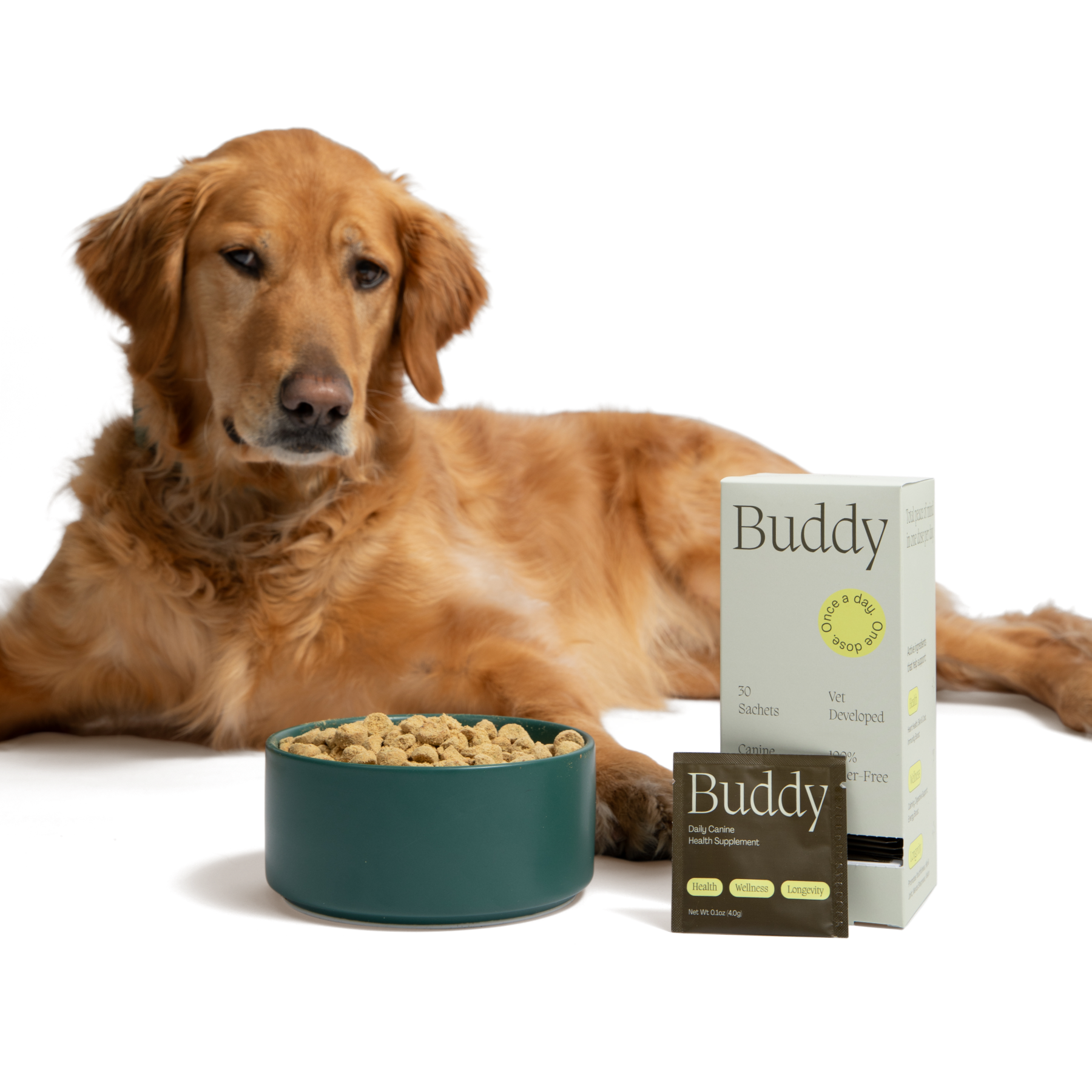 A dog looking at its bowl of kibble, with a box of Buddy next to the bowl and a single sachet of Buddy leaning against it.