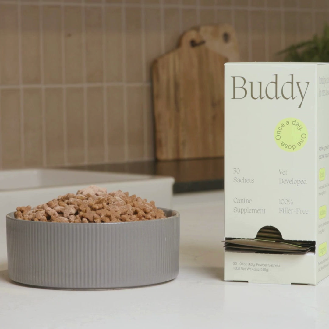 Buddy is easy to use as a daily meal topper. Remove the pre-portioned packet from its dispenser box, tear, and pour over your dog&