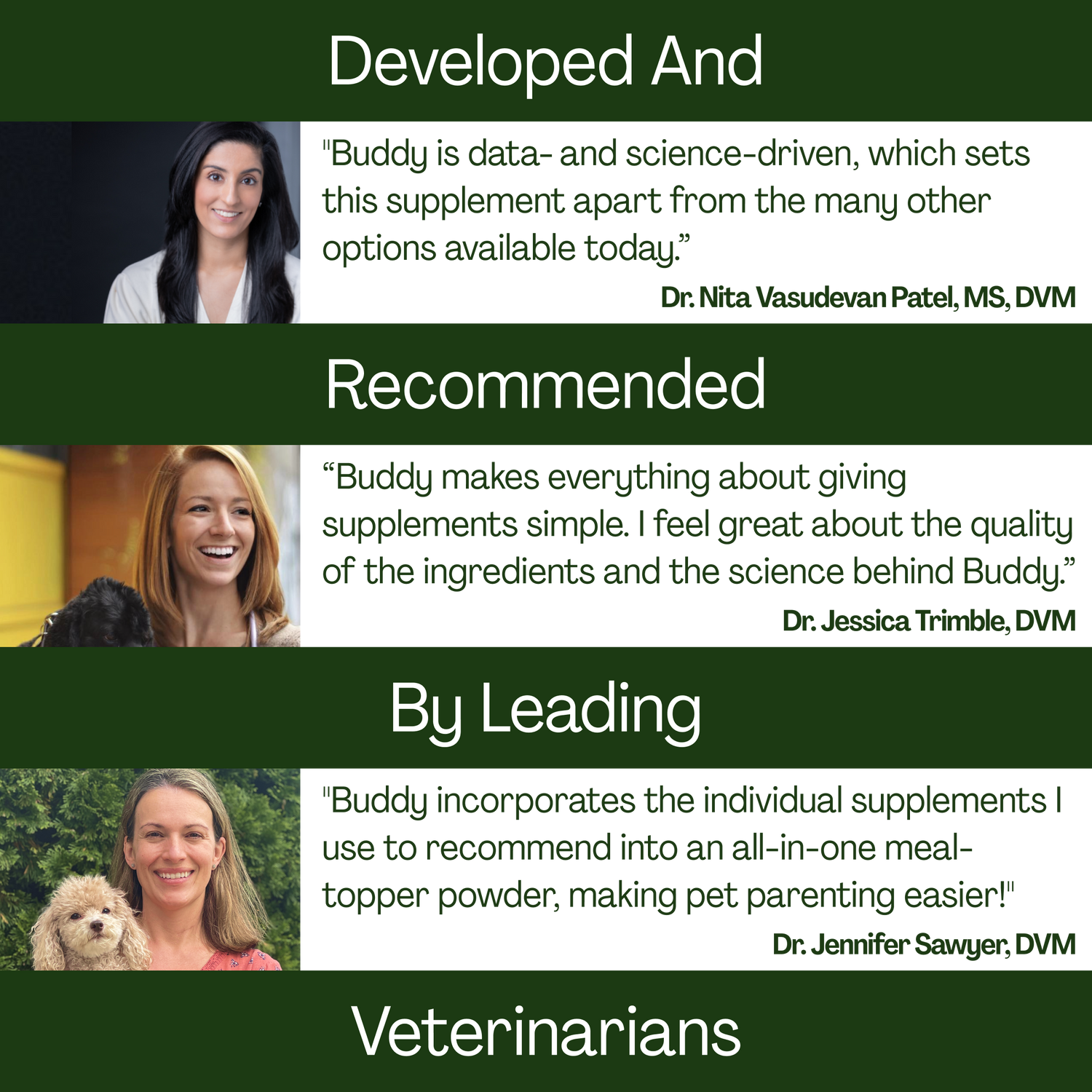 10-in-1 Daily Canine Meal Topper