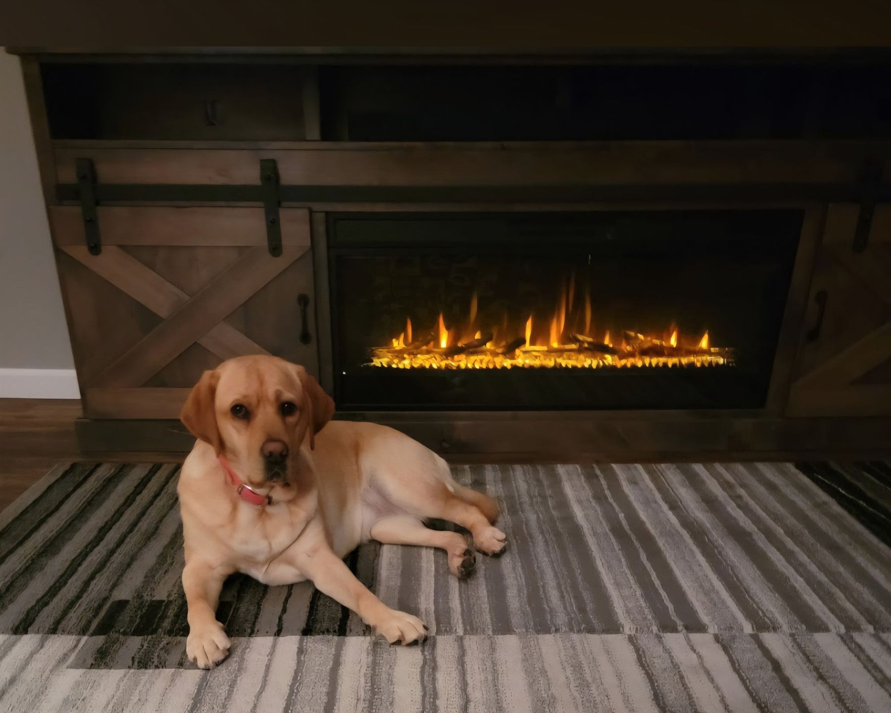 "Anchor is doing very well on buddy. Seeing a big difference in her skin coat, her digestive system thank you for such a great product." - Frank
