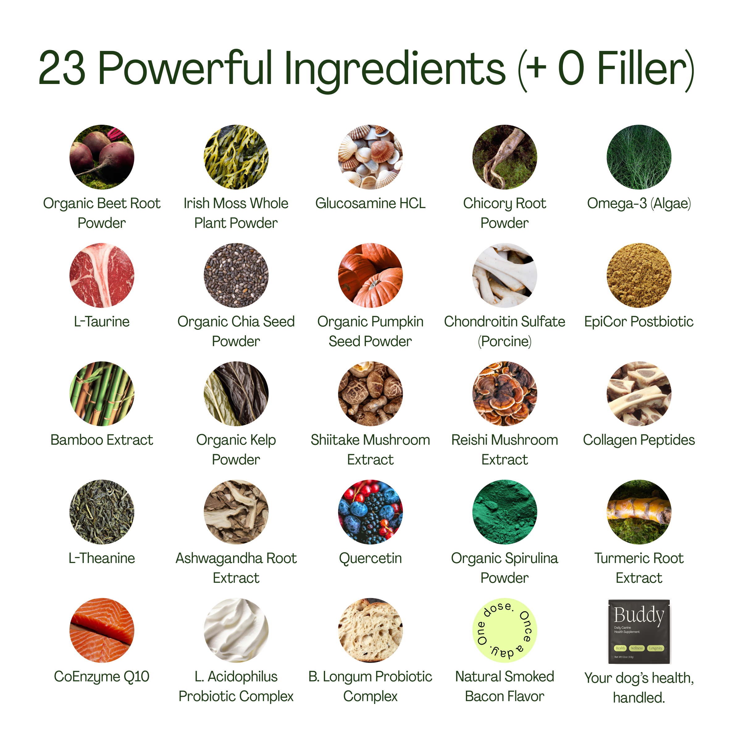 10-in-1 Daily Canine Meal Topper