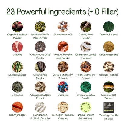 10-in-1 Daily Canine Meal Topper