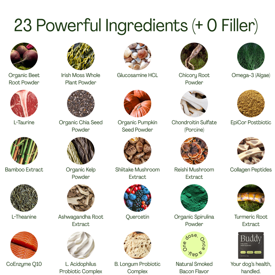 10-in-1 Daily Canine Meal Topper