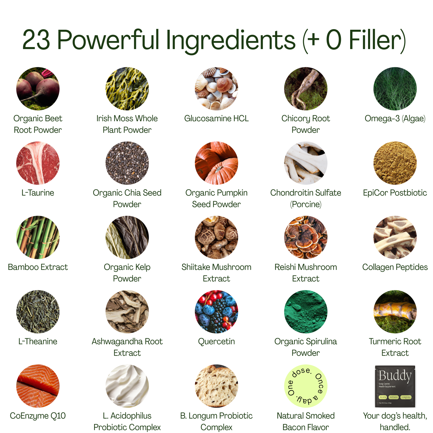 10-in-1 Daily Canine Meal Topper