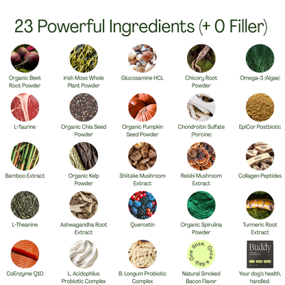 10-in-1 Daily Canine Meal Topper