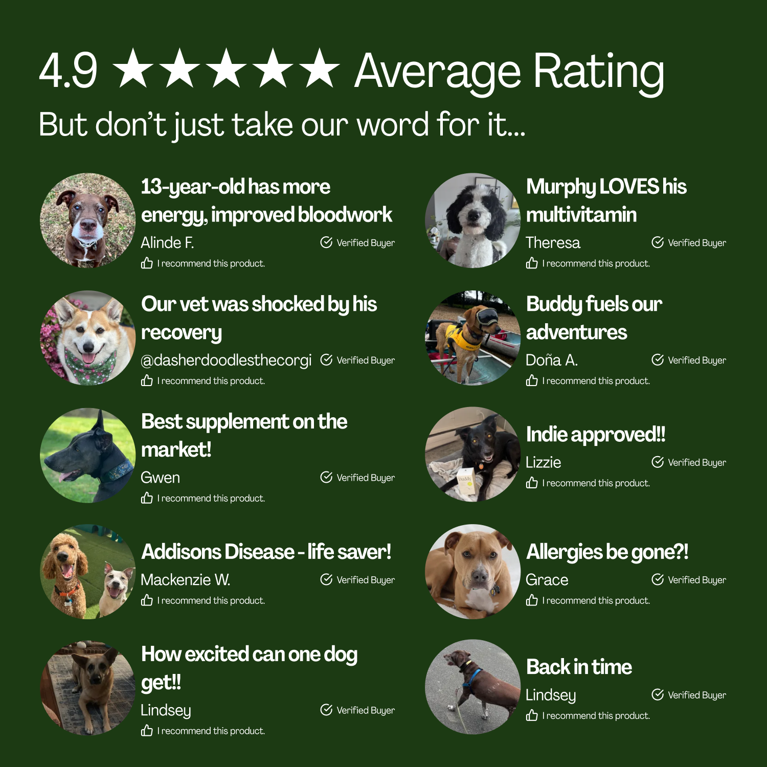 10-in-1 Daily Canine Meal Topper