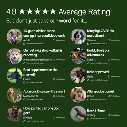 10-in-1 Daily Canine Meal Topper