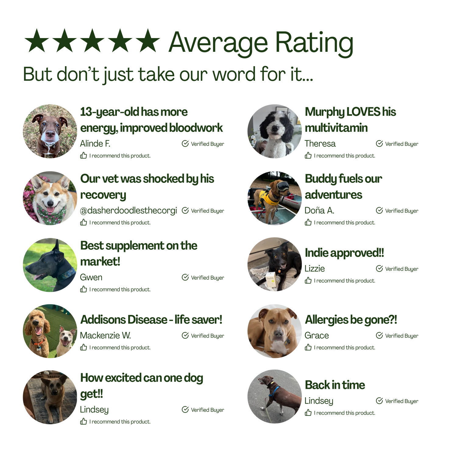 10-in-1 Daily Canine Meal Topper