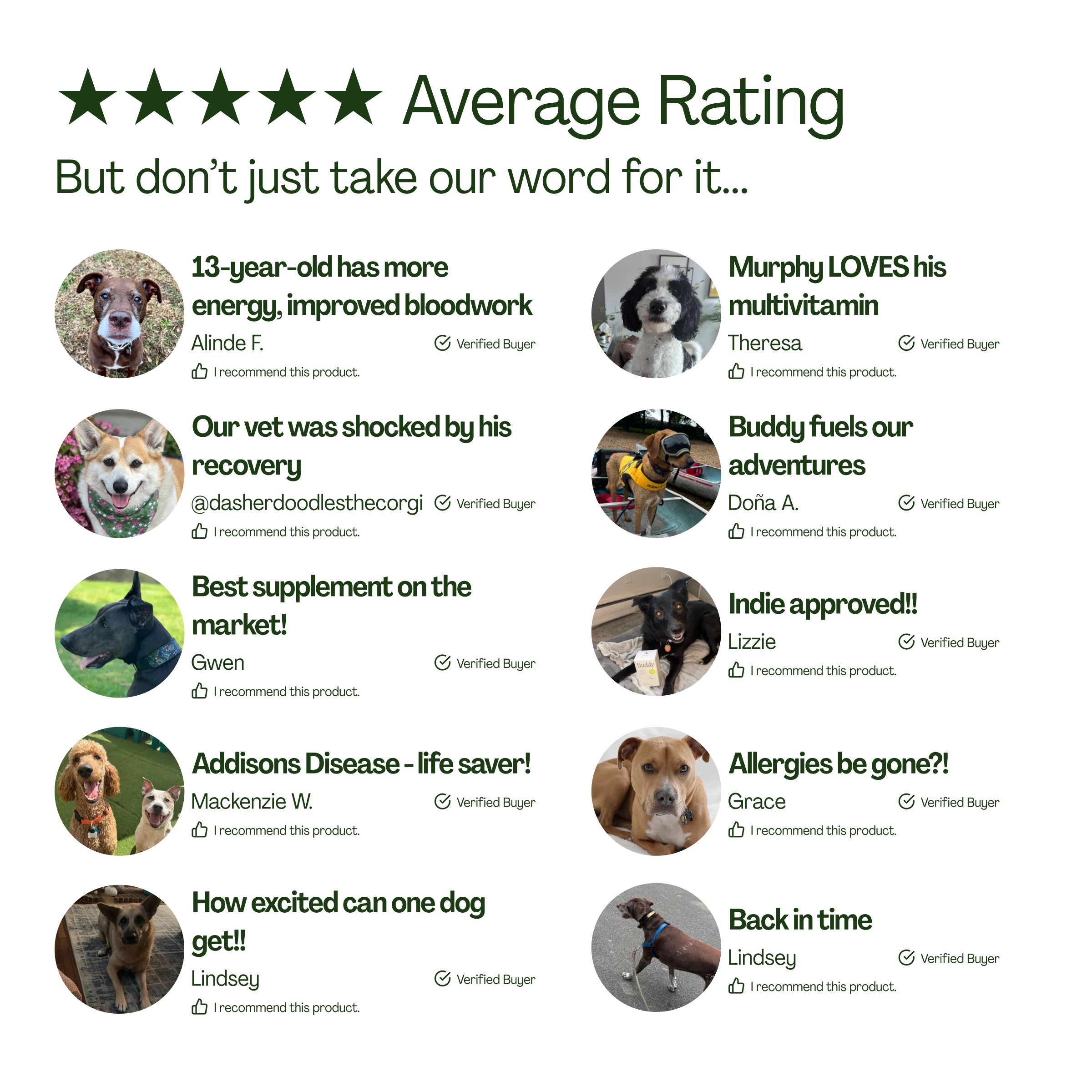 10-in-1 Daily Canine Meal Topper