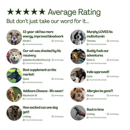 10-in-1 Daily Canine Meal Topper