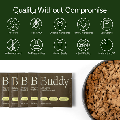 10-in-1 Daily Canine Meal Topper