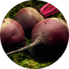 Organic Beet Root