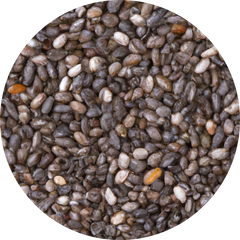 Organic Chia Seed