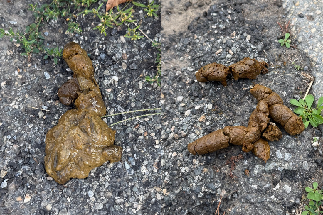 Firmer poops. Better gut balance.
