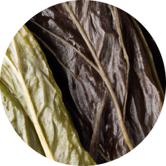 Organic Kelp