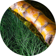 Anti-Inflammation Support
